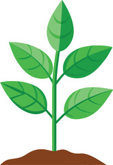young plant vector, vector and illustration, vector style
