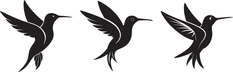 set of hummingbird silhouette, black and white silhouette, vector and illustration