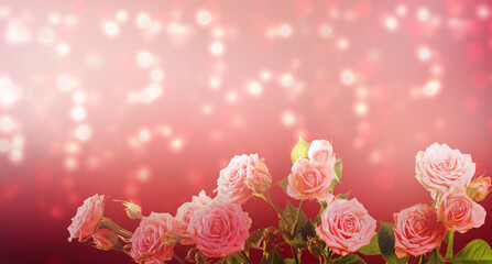 Valentine's Day card with roses bouquet on abstract red background with glowing shiny bokeh and copy space, banner with blank empty place.