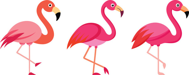 set of pink flamingo vector, vector and illustration, vector style