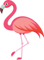 pink flamingo vector, vector and illustration, vector style