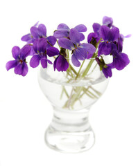 Elegant Bouquet of Violets