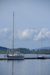 sailing boats in the harbor