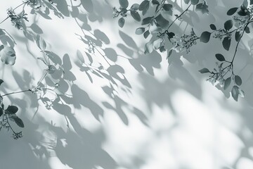 Shadowy leaves, branches, wall, sunlight, floral design, background, texture, overlay