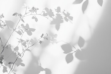 Sunlight casts plant shadows on white wall, minimalist design