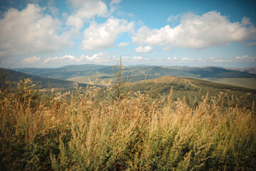Scenery of Zhangbei grassland in Chongli City, Hebei Province, China