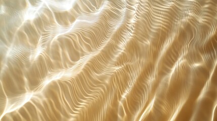 A serene underwater scene showcasing light patterns on sandy surfaces.