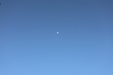 moon in blue sky at day