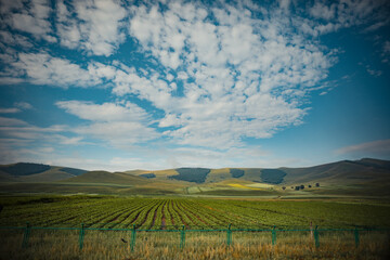 Scenery of Zhangbei grassland in Chongli City, Hebei Province, China