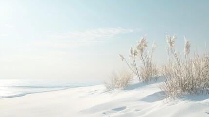 Obraz premium Winter Serenity: Frozen Beachscape at Dawn