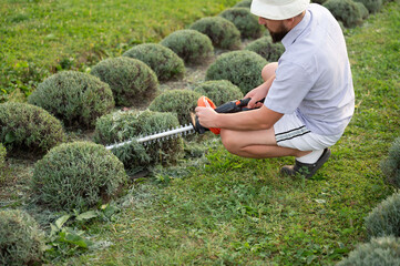 The image shows a person using hedge clippers to trim round bushes in a garden. This focuses on...
