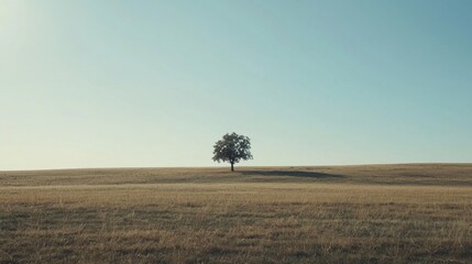 Solitary Tree in Vast Golden Field Under a Pale Sky