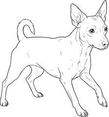  Min Pin Dog Illustration - Vector Outline Image