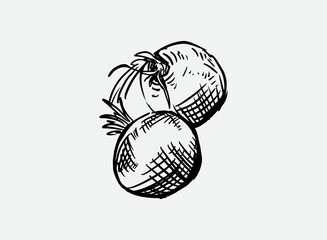 Illustration of an Barbeque Grill Drawing Garlic