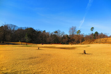 冬の公園の枯れた芝生の広場の風景2
