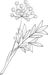 Obraz premium tiny wild flowers and plants line art botanical illustrations. Trendy greenery hand draw lines black ink sketches. vector illustration