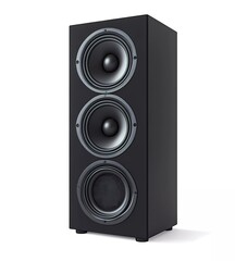 Black speaker with two built-in subwoofers on a white background