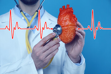 Cardiology. Doctor holding anatomical model of heart and stethoscope on blue background, closeup....