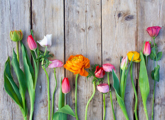 Spring flowers - floral greetings - ranunculus and tulips