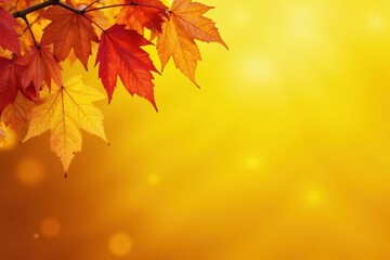 Fototapeta premium Autumn leaves, vibrant yellow and orange hues against sunny yellow backdrop, fall, wallpaper, yellow background