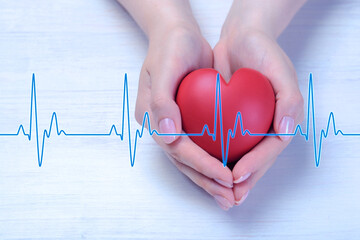Cardiology. Woman holding red decorative heart on white wooden table, closeup. Blue heartbeat line