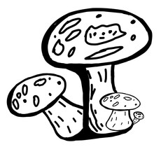 mushroom vector illustration