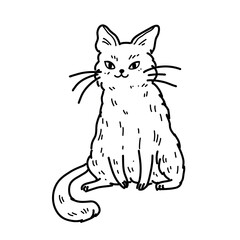 Vector illustration of a beautiful sitting kitten with cute smile and long whiskers on white background. For children's coloring books and veterinary clinic icons