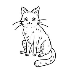 Vector illustration with fluffy kitten in hand drawn outline style. A cute cat with a sly smile sits on a white background. Sticker with a pet for coloring 
