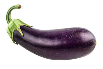 Purple eggplant isolated on transparent background