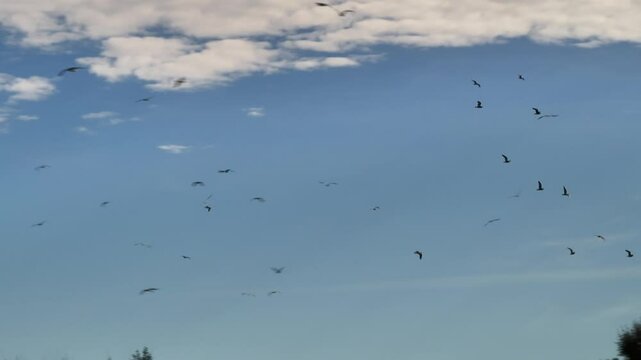 Faro de Moj&aacute;car en el Cerro del Moro Manco de Almeria, Andalucia, Espa&ntilde;a
