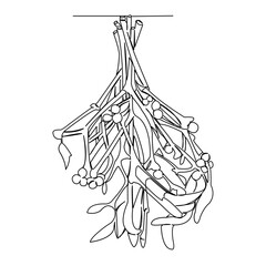 One continuous single drawing line art flat doodle mistletoe, celebration, plant, christmas, winter. Isolated image hand draw contour on a white background
