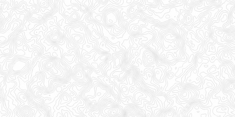 Contour abstract map relief land outline. Topographic map patterns. White wave paper curved reliefs abstract background. Background of the topography map. Abstract pattern with lines.	
