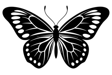 High-Quality Butterfly Vector Illustration - SVG, PNG, EPS, AI, PSD File Formats Available