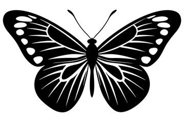 High-Quality Butterfly Vector Illustration - SVG, PNG, EPS, AI, PSD File Formats Available
