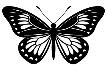 High-Quality Butterfly Vector Illustration - SVG, PNG, EPS, AI, PSD File Formats Available