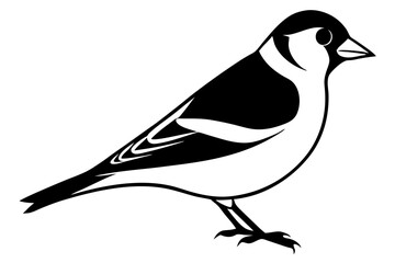 Goldfinch Vector Illustration – SVG, PNG, EPS, AI, PSD Files for Digital & Print Design