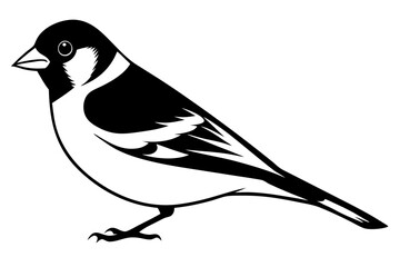 Goldfinch Vector Illustration – SVG, PNG, EPS, AI, PSD Files for Digital & Print Design