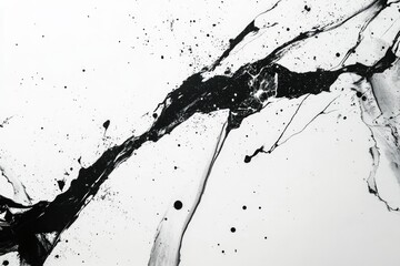 Dynamic Black Ink Splashes On White Canvas