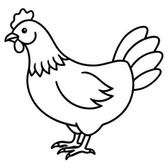 chicken line art vector