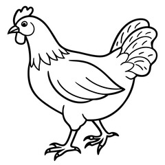 chicken line art vector
