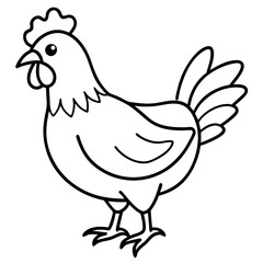 chicken line art vector