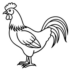 Rooster line art vector