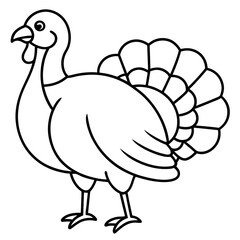 Turkey line art vector