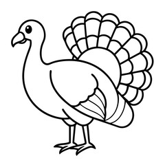 Turkey line art vector