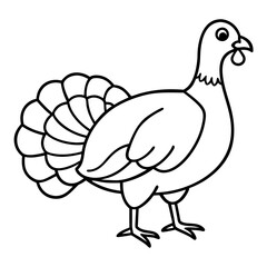 Turkey line art vector