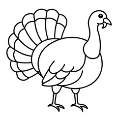 Turkey line art vector