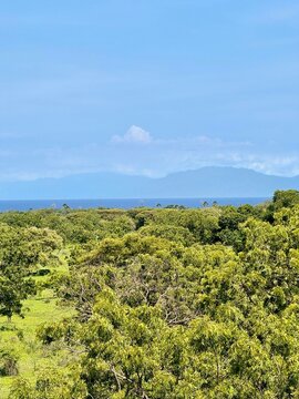 Baluran National Park Overlooking Bama Beach and Bali Island
