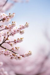 Obraz premium Pink blossom 