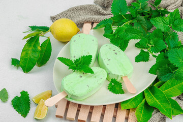 Trendy lemon balm ice cream. Chocolate drops, fresh leaves, ripe lemons. Refreshing summer dessert