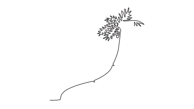 Animated self drawing of continuous line draw cocos nucifera. Decorative coconut palm tree concept for plantation company logo and home art wall decoration poster print. Full length one line animation